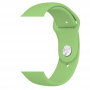 Силиконова каишка за iWatch 38/40mm S/M &ndash; Светло зелена