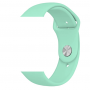 Силиконова каишка за iWatch 42/44 mm S/M &ndash; Мента